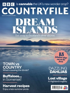 Cover undefined