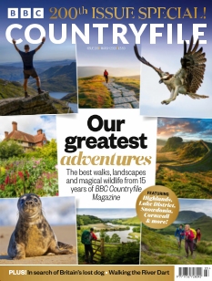 Cover undefined