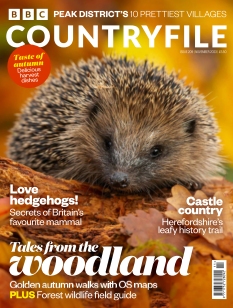 Cover undefined