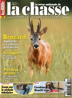 Cover undefined