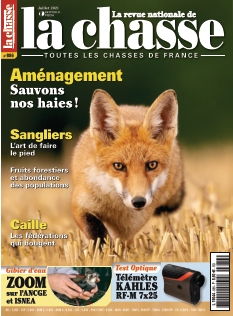Cover undefined