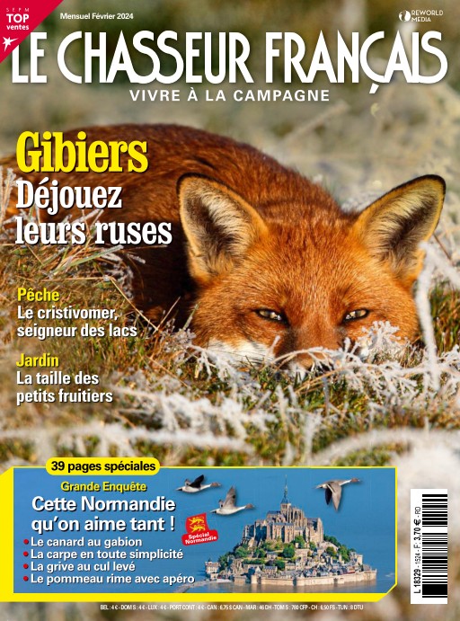 Cafeyn Abonnement aux magazines en ligne