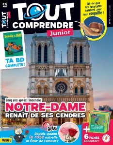 Tout Comprendre Junior | 