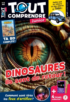 Tout Comprendre Junior | 