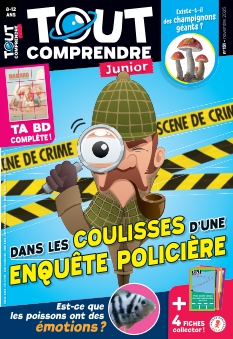 Plus d'infos sur 'Tout Comprendre Junior' Tout Comprendre Junior |