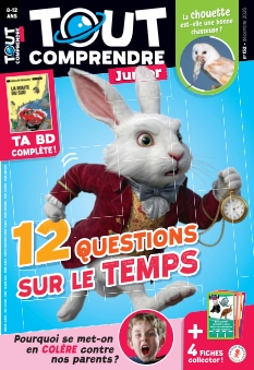 Tout Comprendre Junior | 