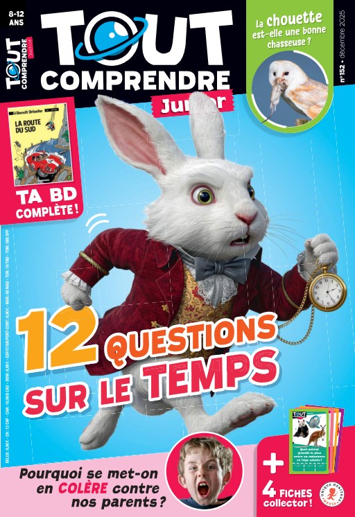 Tout Comprendre Junior