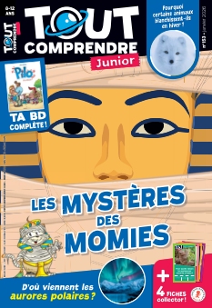 Tout Comprendre Junior | 