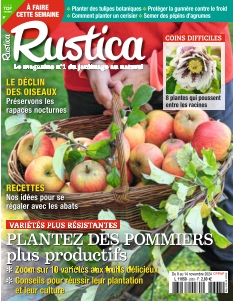 Rustica | 