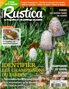 Rustica | 
