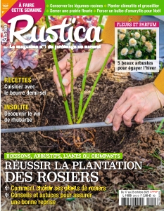 Rustica | 