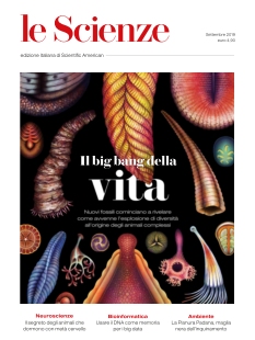 Cover undefined