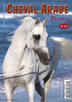 Cover undefined