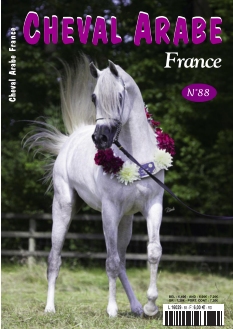 Cover Cheval Arabe France