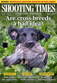 Cover undefined