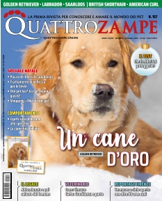 Cover undefined
