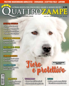 Cover undefined