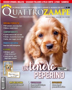 Cover undefined