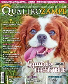 Cover undefined