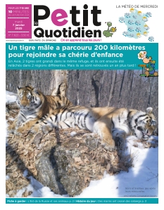 Le Petit Quotidien | 