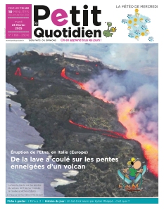 Le Petit Quotidien | 