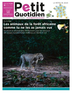 Le Petit Quotidien | 