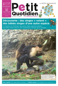Le Petit Quotidien | 