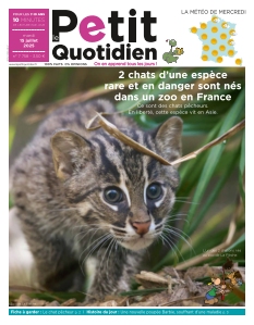 Le Petit Quotidien | 