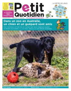 Le Petit Quotidien | 