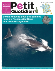 Le Petit Quotidien | 