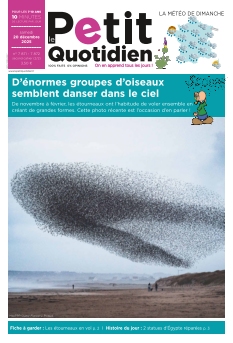 Le Petit Quotidien | 