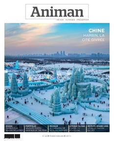 Animan | 