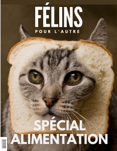 Cover undefined