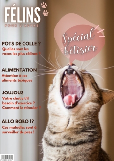 Cover undefined