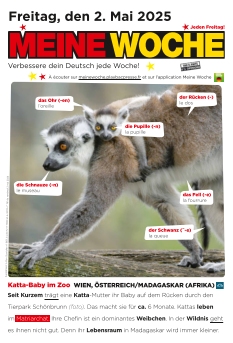 Meine Woche | 
