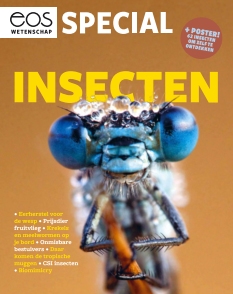 Cover undefined