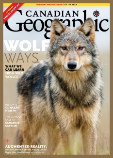 Cover undefined