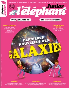 L'Eléphant Junior | 