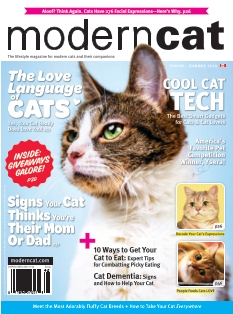 Modern Cat Magazine | 